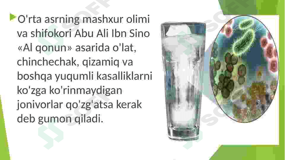 Ibn Sino yuqumli kasalliklar 4