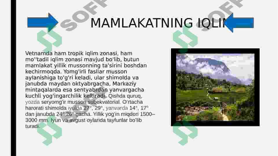 VETNAM haqida malumot 4