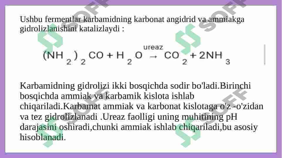Ureaza fermentining oziq-ovqat sanoatida qo’llanilishi 4