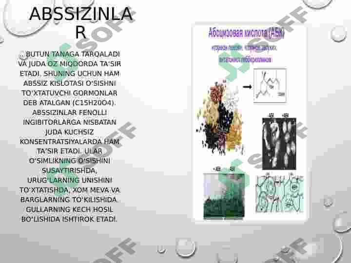 Auksin,Gibberelin,Sitokinin,Abssizin,Etilen, va boshqa fitogarmonlar xossalari, va fiziologik vazifasi, elektrofiziologik regulyatsiya 4