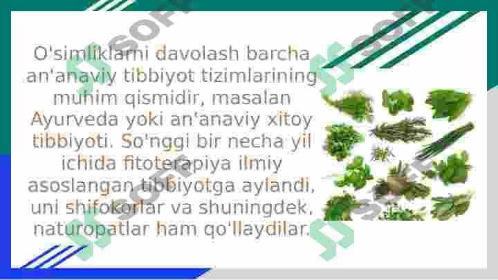 Qon aylanish tizimiga taʼsir qiluvchi dorivor oʻsimliklar 4