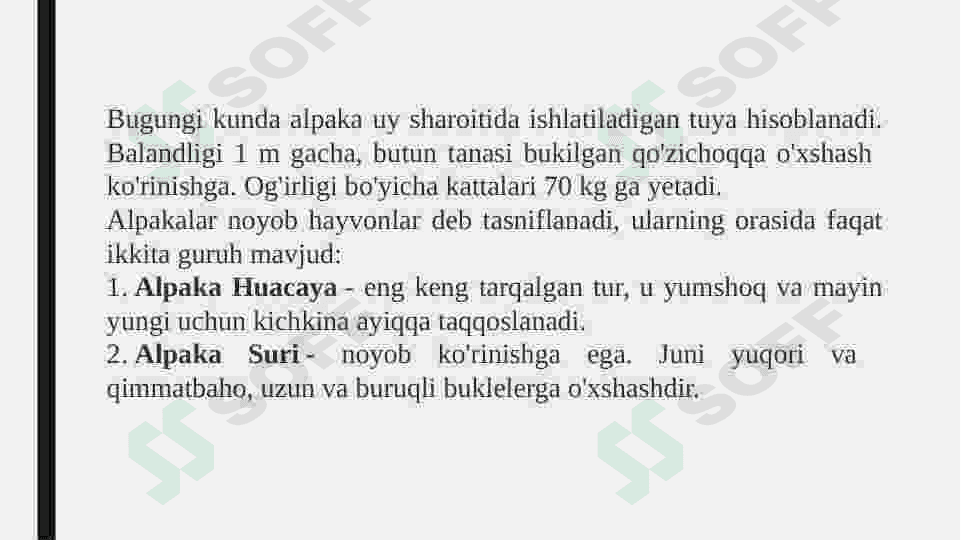 qadimgi savdo yo'llarida hayvonlar 4
