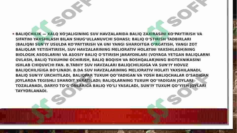 Oʻzbekiston suv havzalarida tarqalgan baliq turlari va ekologik guruhlari 4