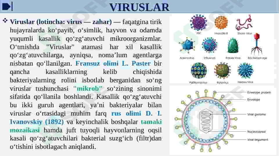 Viruslarga va o’smalarga qarshi dori vositalarning ta’sir mexanizmi(DNK, RNK fermentlariga nisbatan) 5
