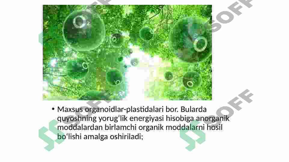 O‘simliklar hujayrasiga hos qo‘zgatishlar va ularni uzatish mexanizmlari 5