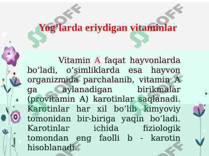 Vitamin saqlovchi dorivor oʻsimliklar 5