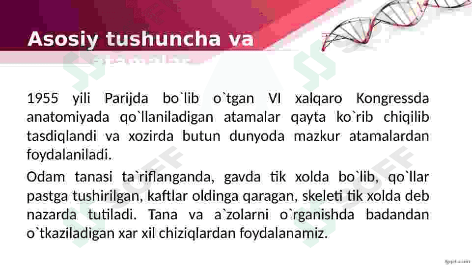 Odam anatomiyasi va fiziologiyasi. 5