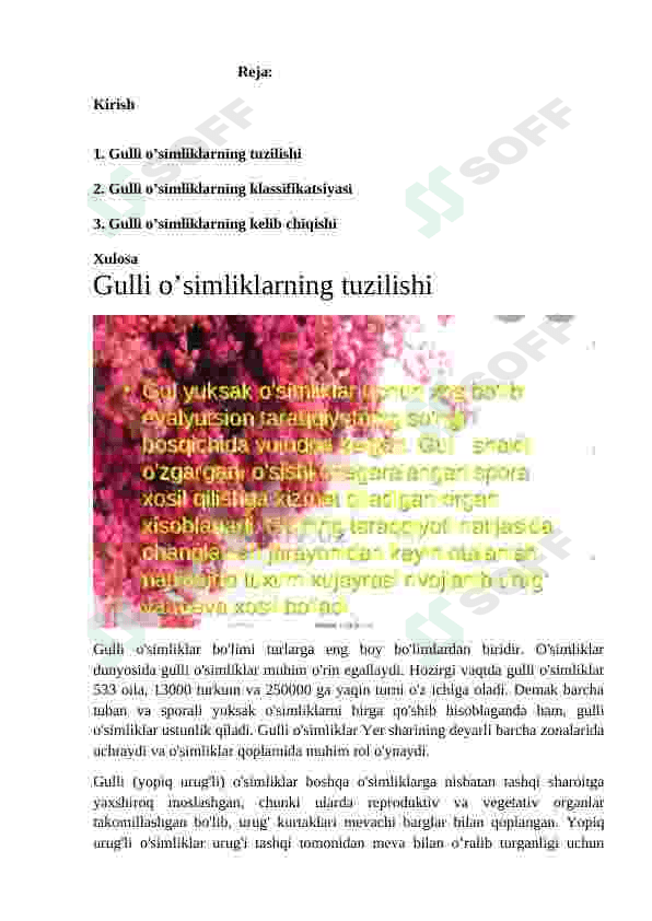 Gulli oʻsimliklarni kelib chiiqshi 5