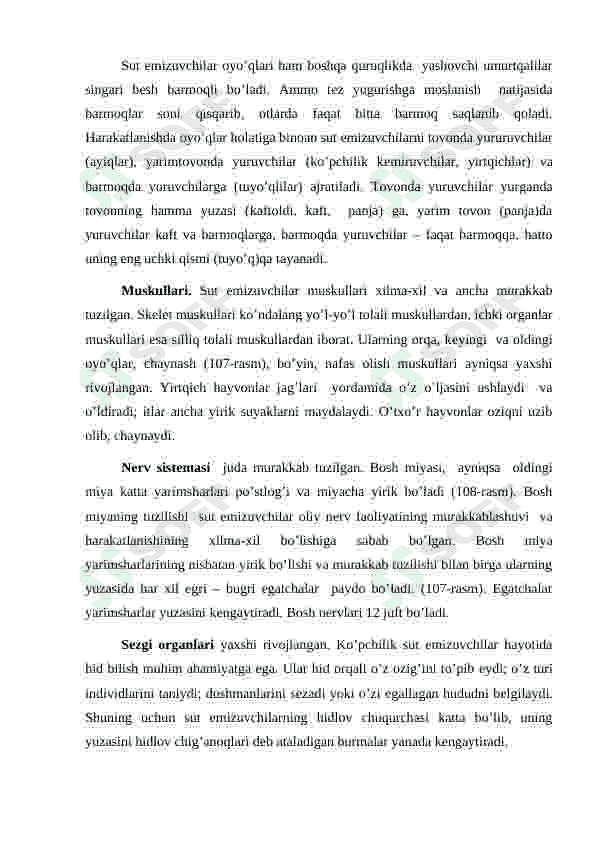 Sut emizuvchilarning sinfining umumiy ta’rifi, tashqi tuzilishi,skelet va muskulaturasi 5