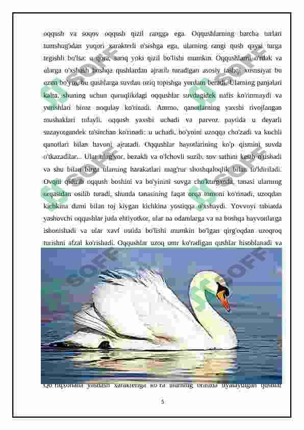 Qaraqalpiĝistonning agrolandshaftlarida tarqalgan qushlar 5