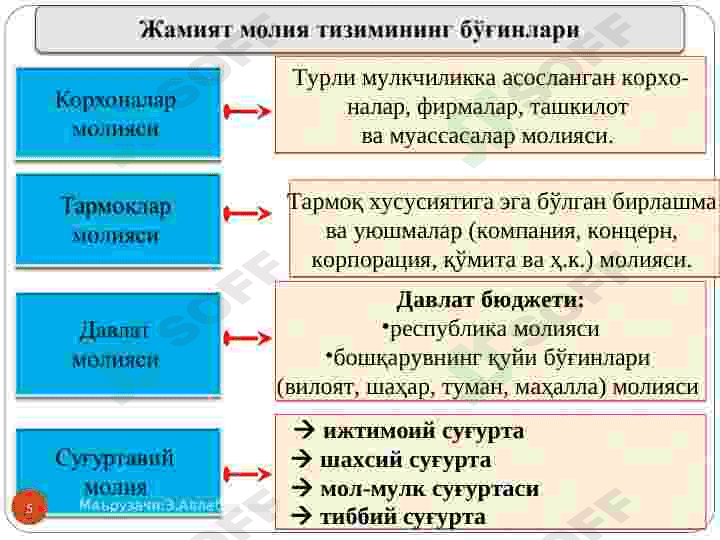 Молия тизими 5