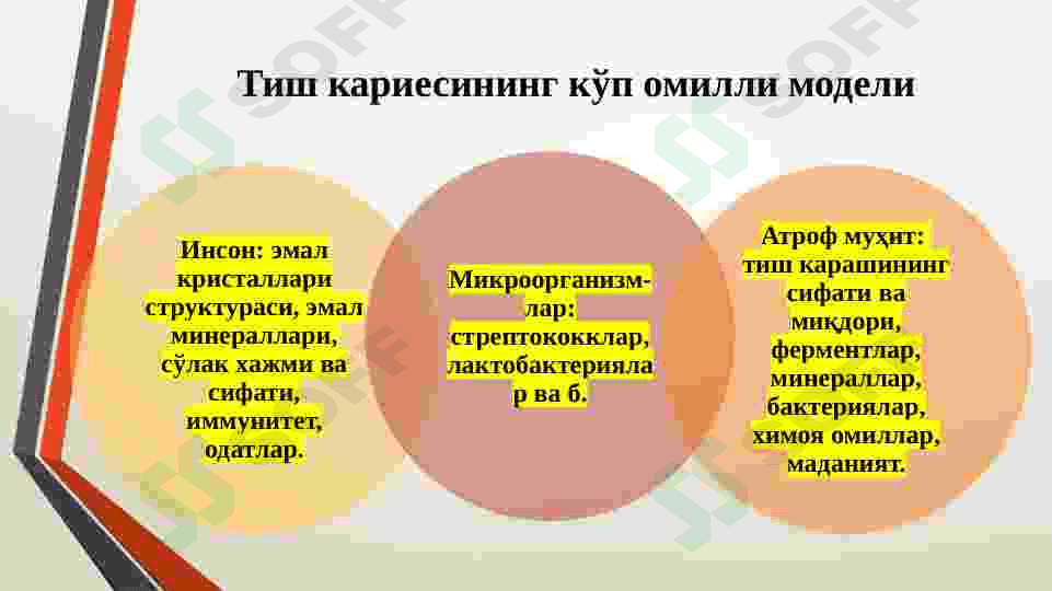 KARIES KASALLIGINI UMUMIY DAVOLASH 5