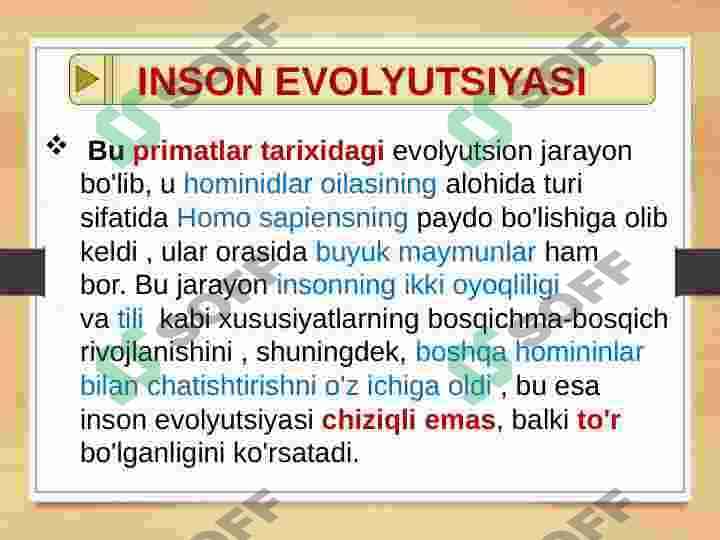 ODAM EVOLYUTSIYASI-DASTLABKI ODAMLAR 5