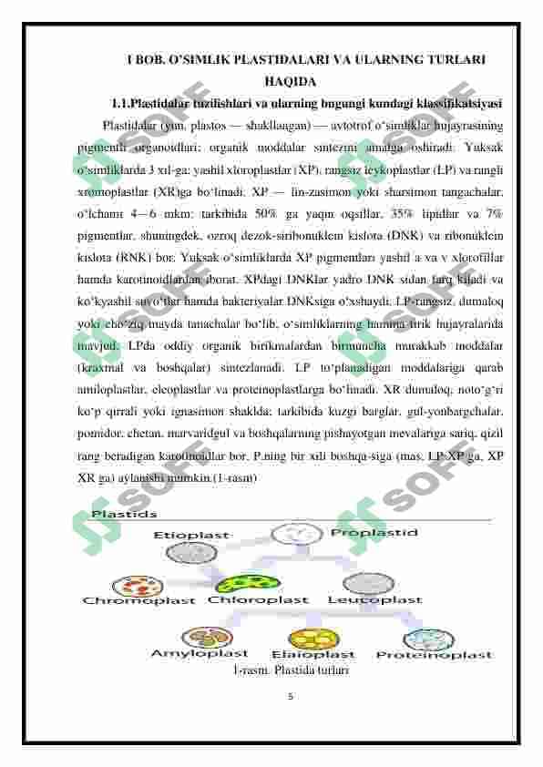 Plastida pigmentlari va ularning fotosintezdagi ro’li 5