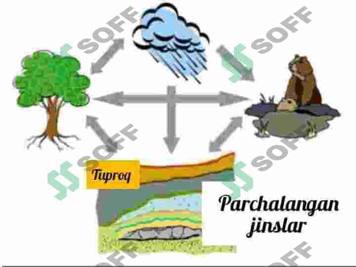 Tuproqning kelib chiqishi . Nurash jarayonlari va moddalarning katta geologik aylanishi 5