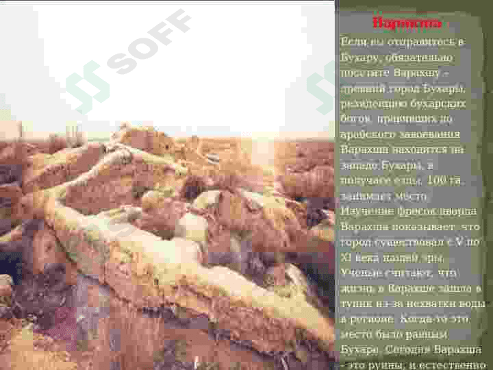 МОЙ ЛЮБИМЫЙ УГОЛОК ПРИРОДЫ 5
