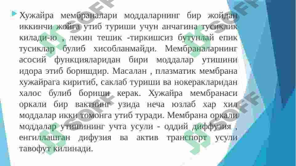 BIOLOGIK MEMBRANALARNI KIMYOVIY TARKIBI 5