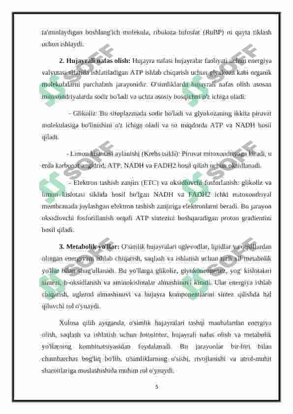 O’simlik hujayrasining energetikasi haqida 5