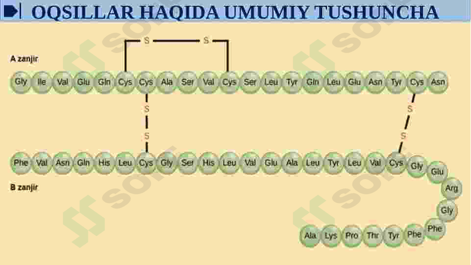 SUN'IY OQSIL OZUQA MODDALARINING ISHLAB CHIQARILISHI VA KELGUSIDAGI IMKONIYATLAR 5