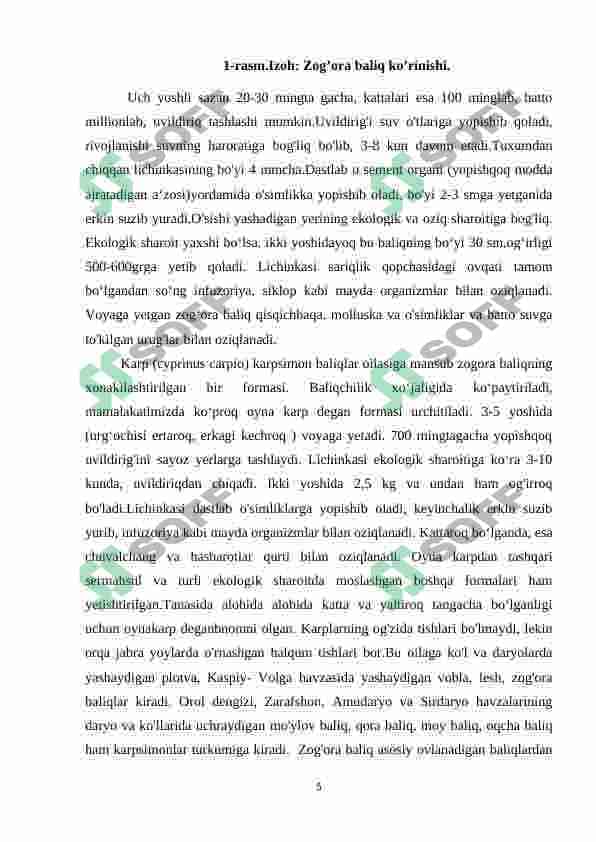 O’rta Osiyo tekisliklari, suv havzalari va tog’li hududlarida yashovchi umurtqali hayvonlar 5