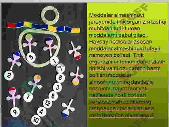 Energetik metabolizm. Biologik oksidlanish yoki bakteriyalarning nafas olishi 5