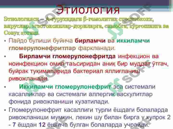 Glomerulonefrit surunkali pielonefrit 5