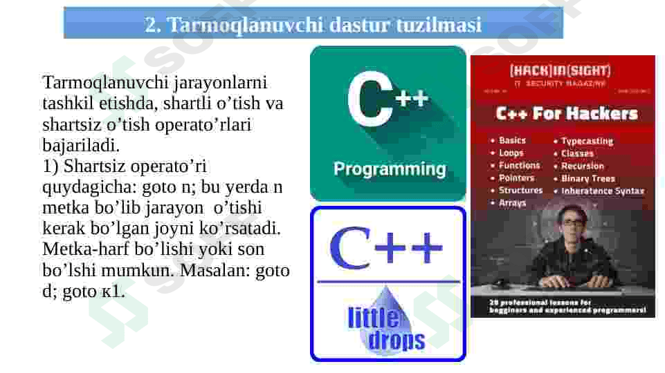 C++ dasturlash tilida chiziqli va tarmoqlanuvchi jarayonlar 5