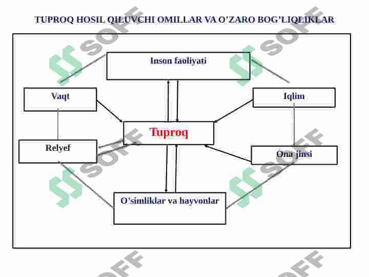 Tuproq hosil bo'lishiga ta'sir etuvchi omillar 5