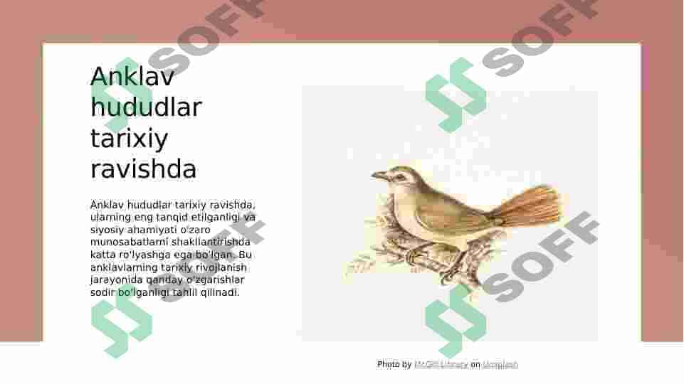 Anklav hududlar 5
