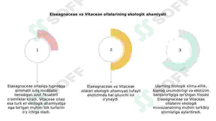 Jiydadoshlar(Elaeagnaceae) va Tokdoshlar (Vitaceae) oilalari 5
