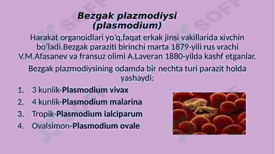 Sporalilar sinfi 5