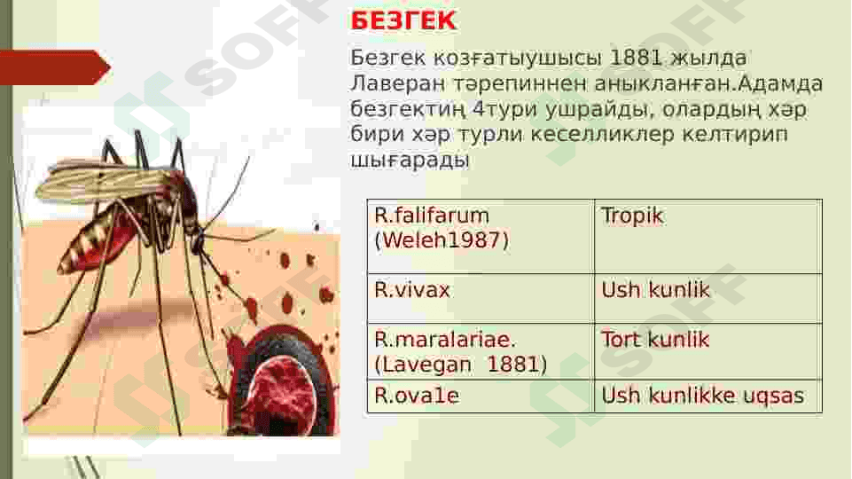Parazitar kasalliklarining epidemiologiyasi 5