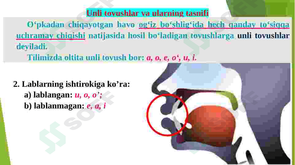 Fonetika haqida umumiy tushuncha. 6