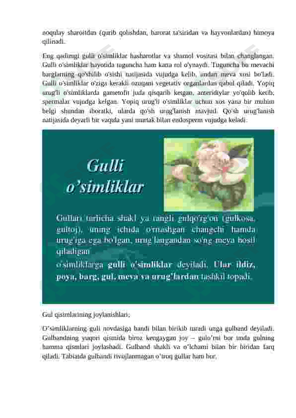 Gulli oʻsimliklarni kelib chiiqshi 6