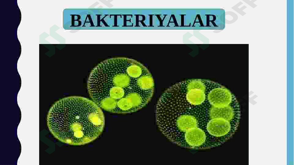 Biosferaning tarkibi 6