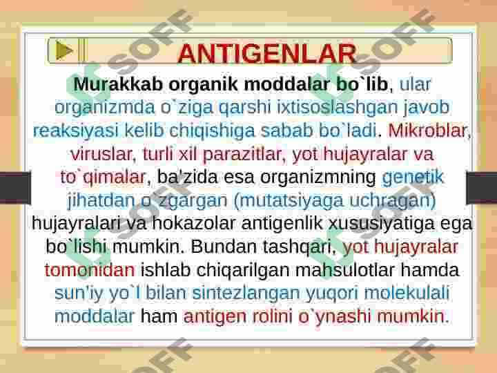ORGANIZM IMMUM SISTEMASI 6