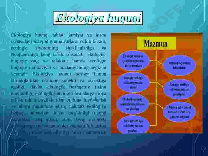 EKOLOGIYA VA HUQUQ. TABIAT MUHOFAZASINING HUQUQIY ASOSLARI, UNING MAQSAD VA VAZIFALARI 6