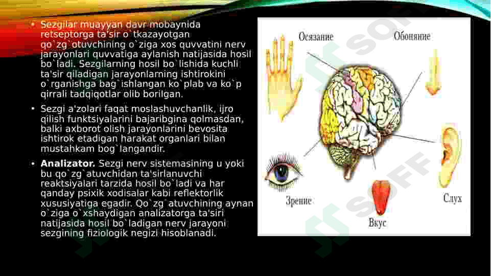 Psixik jarayonlar va miyaning o‘zaro aloqadorligi 6