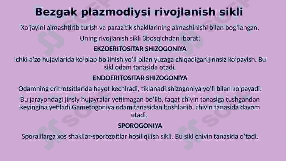 Sporalilar sinfi 6