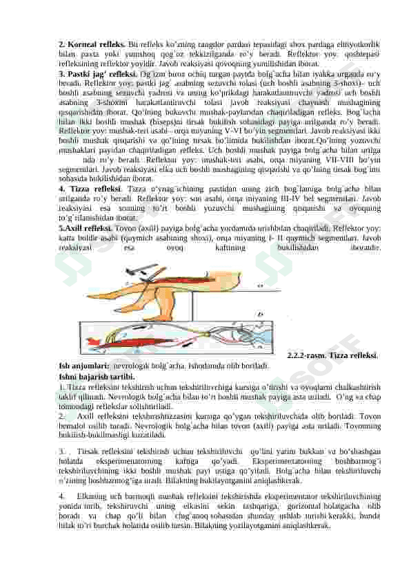 FIZIOLOGIYASI VA GIGIYENASI  FANIDAN AMALIY  MASHGULOTLAR  ISHLANMASI 6