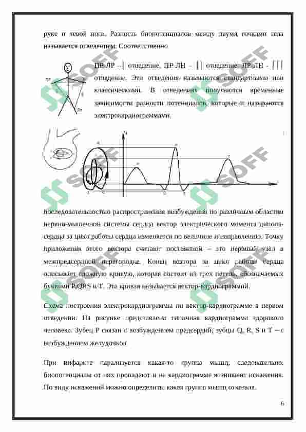 Физические основы регистрации биопотенциалов 6