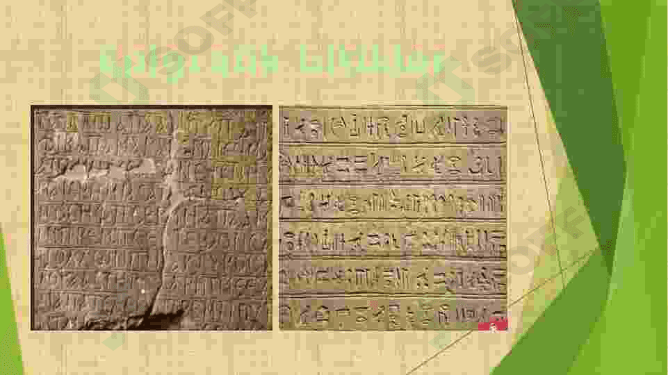 Epigrafika. Maxsus tarix fanlari 6