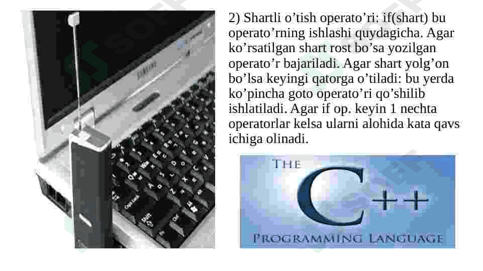 C++ dasturlash tilida chiziqli va tarmoqlanuvchi jarayonlar 6