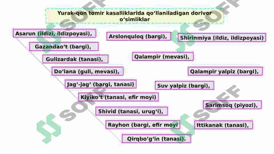 Dorivor o’simliklar va ulardan foydalanish 6