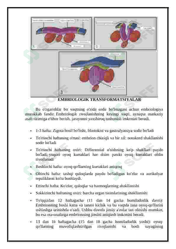 Nerv tizmi(orqa va bosh miya). Taraqqiyoti. 6