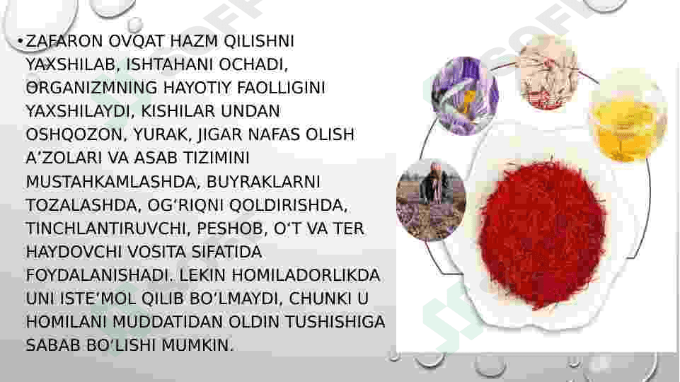 Zafaron oʻsimlik haqida 6