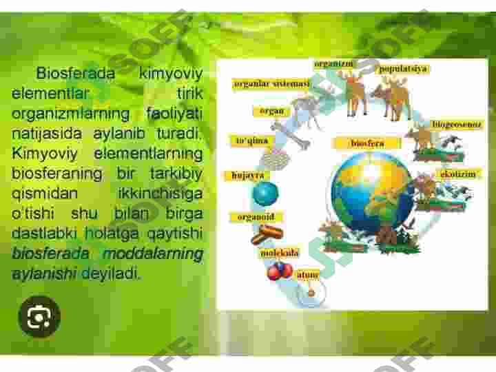Ekotizim xizmatlarining holati 6
