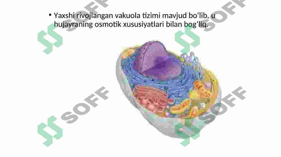 O‘simliklar hujayrasiga hos qo‘zgatishlar va ularni uzatish mexanizmlari 6