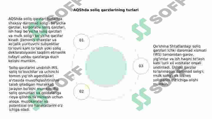 Amerika qo’shma shtatlarida soliq qarzdorliklarini undirish 6