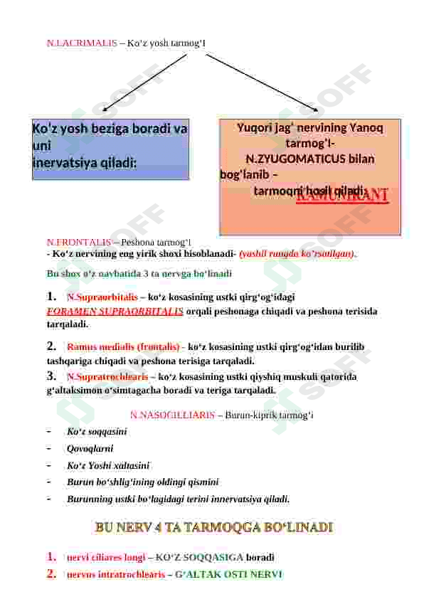 TIBBIYOT TALABALARI UCHUN ANATOMIYA FANIDAN QO'LLANMA 6